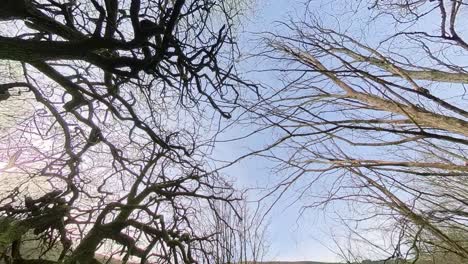 Walking-in-a-Riverside-woodland-near-the-river-with-small-waterfall