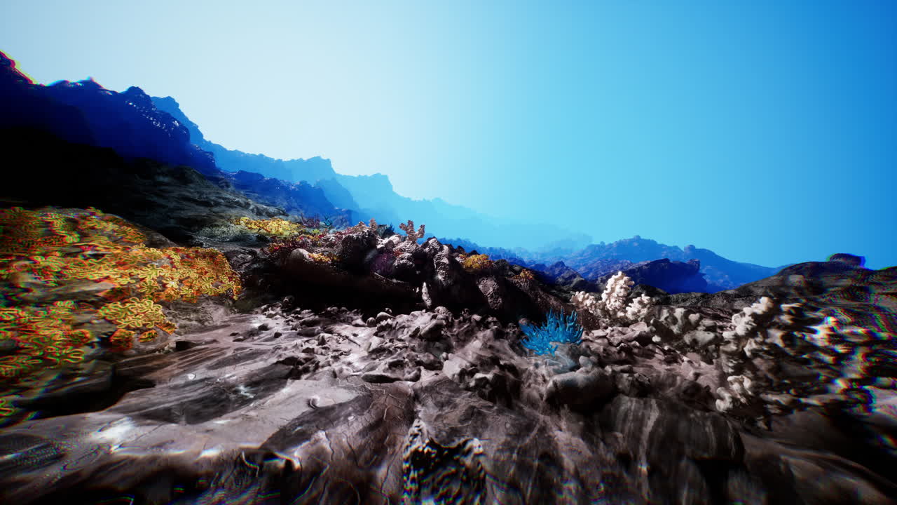 밝은 빛 아래 깨한 바다 바닥을 따라 활기찬 산호조각을 탐구합니다.