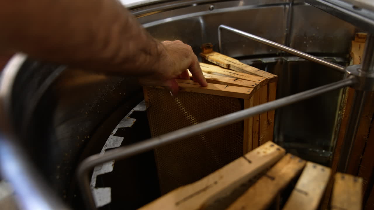Downloading frames into the metal electric device for honey extraction. Male hand puts the frames close to each other inside the centrifuge.