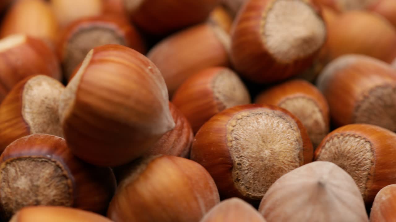 hazelnuts (looping)