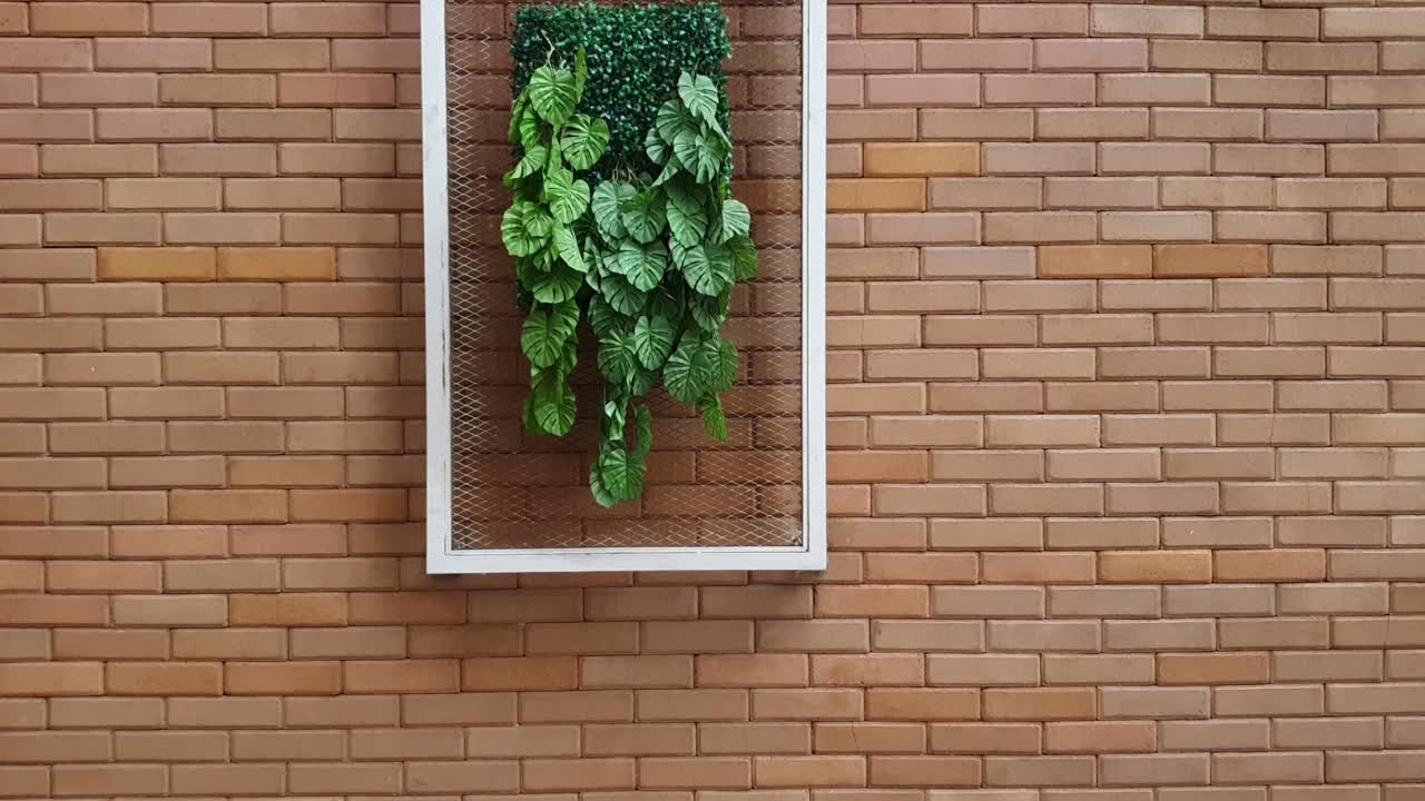 vídeo de fondo de ladrillo y pared de flores con área de espacio de copia. archivo 3