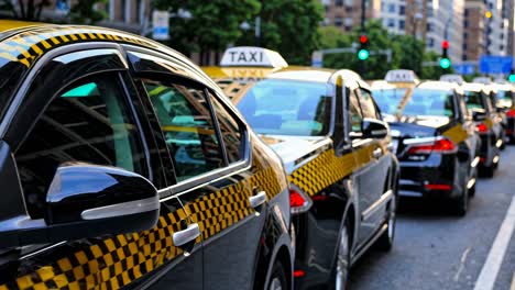 line of black taxis