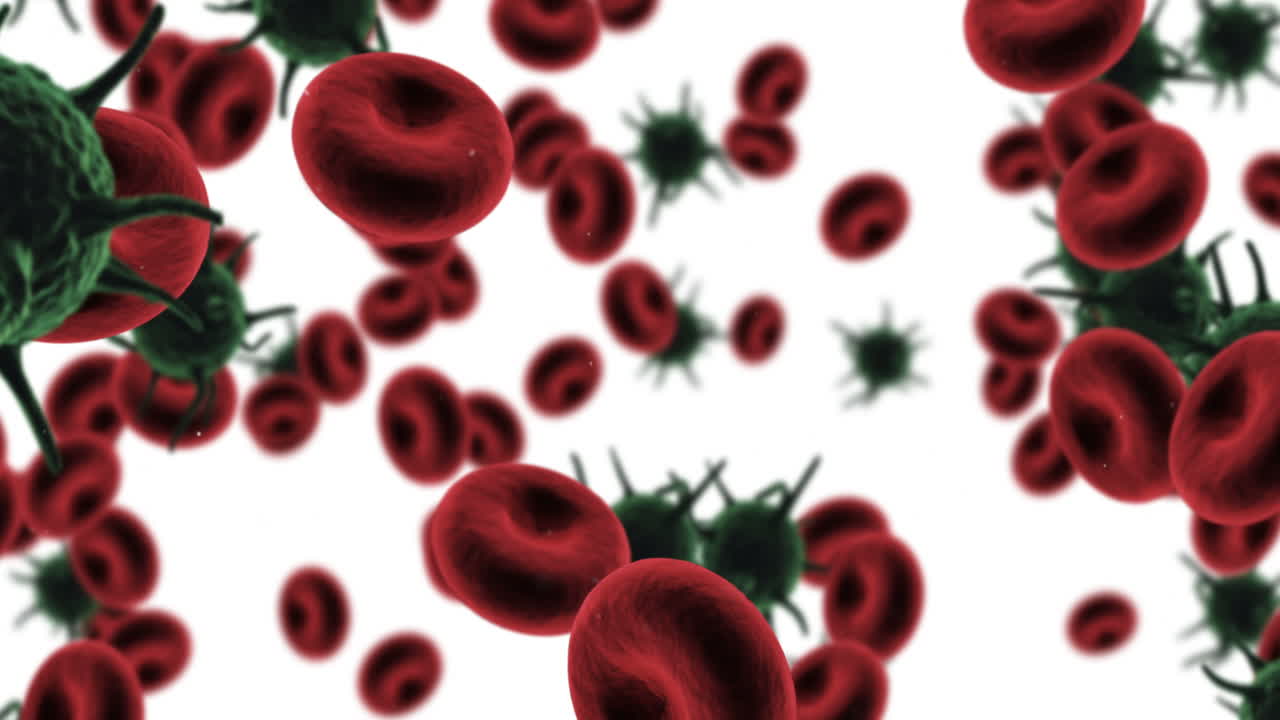 células virales generadas digitalmente y glóbulos rojos contra un fondo blanco