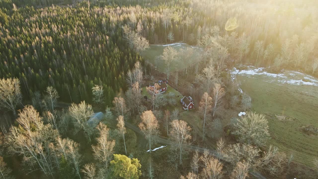 Aerial orbit of remote cabins in the woods of beautiful rural Sweden