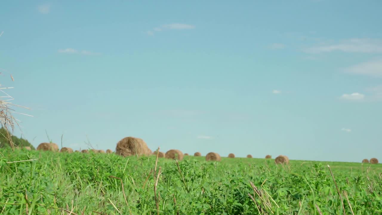 concepto de agricultura. balas de heno en un prado. campo rural en verano con balas de heno. vista de bajo ángulo