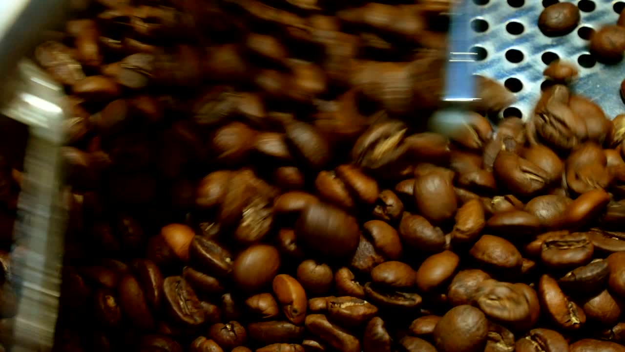 los granos de café en el molinillo. café fresco en la máquina de café profesional. aroma, fondo.