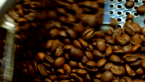 los granos de café en el molinillo. café fresco en la máquina de café profesional. aroma, fondo.