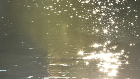 beautiful sun light reflection on a river yellow golden hour sunset france