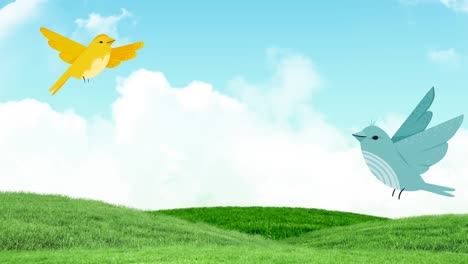 animation of two flying birds flying over spring grass and blue sky in background