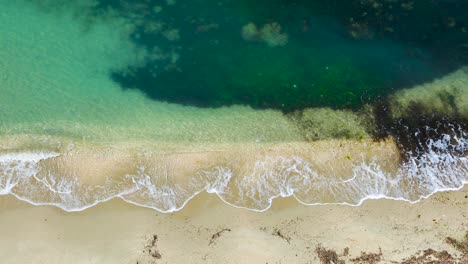 Pollutes-sea-water-foaming-on-shore-of-Mediterranean-with-sandy-beach-covered-in-algae