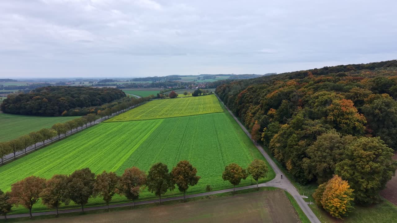 Peaceful drone flight over idyllic landscape with colored farmland fields and fall trees in octibver. Cloudy day in October. American countryside with rural road and tree-line avenue. Wide shot