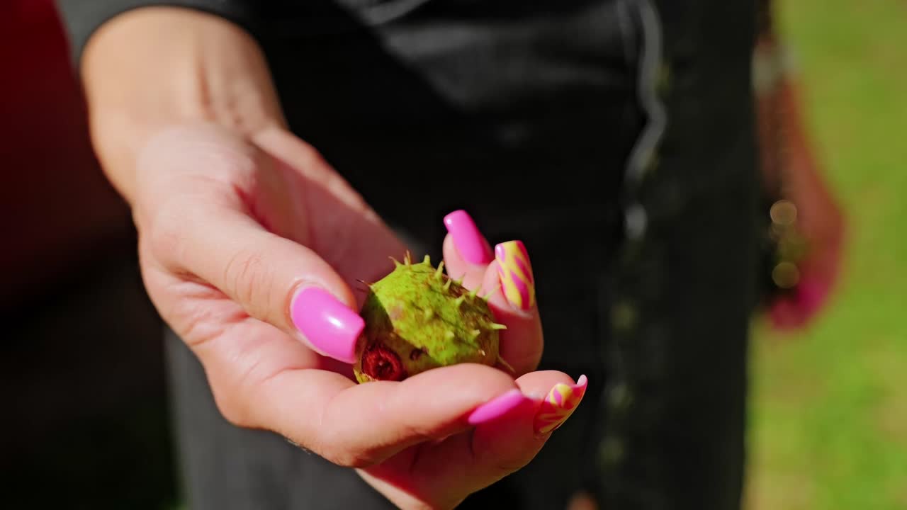 Slow motion chestnut in female hands with pink nails reflecting vulnerability