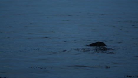 agua que fluye alrededor de la roca en el mar, luz oscura de la noche, movimiento lento