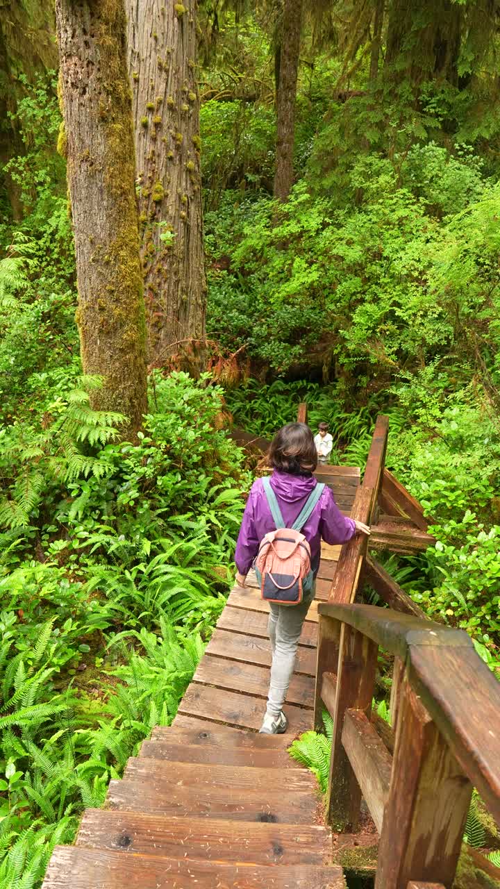 Hutan hijau subur dengan jalur pendakian