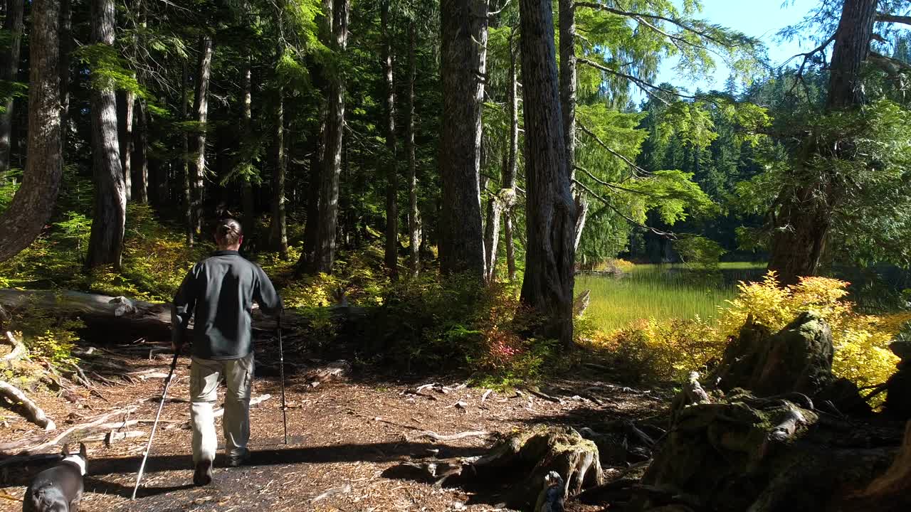 모시 그린 북서부 숲 연못을 통해 개와 함께 야외 산책