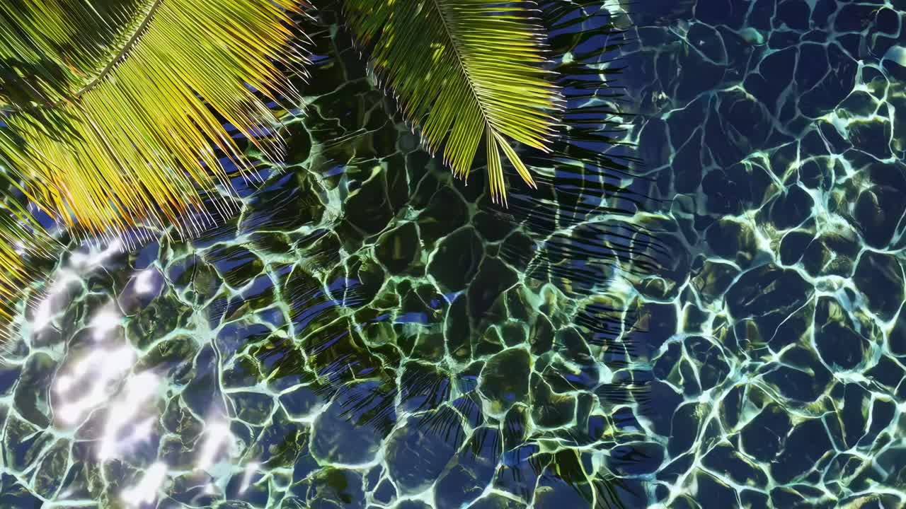 Top-down view of palm leaves over clear water, creating a tropical vibe