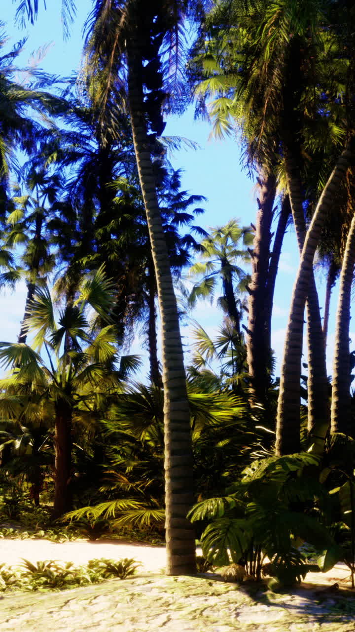 Escena de playa tropical con palmeras