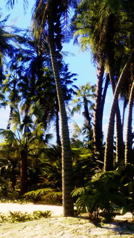 escena de playa tropical con palmeras