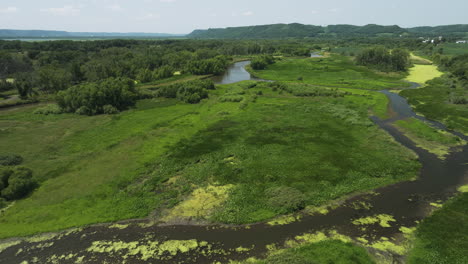 Alage-issue-on-the-Trempealeau-lake,-aerial-flying-over-marshland-landscape