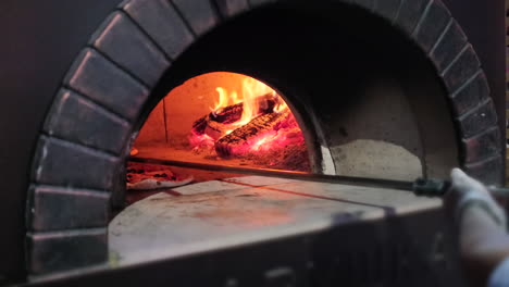 wood-fired pizza oven