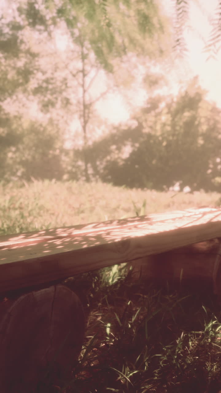 이 많은 정원에서 농촌 목조 공원 벤치