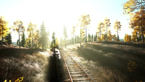 las vías del ferrocarril iluminadas por el sol en el bosque de otoño
