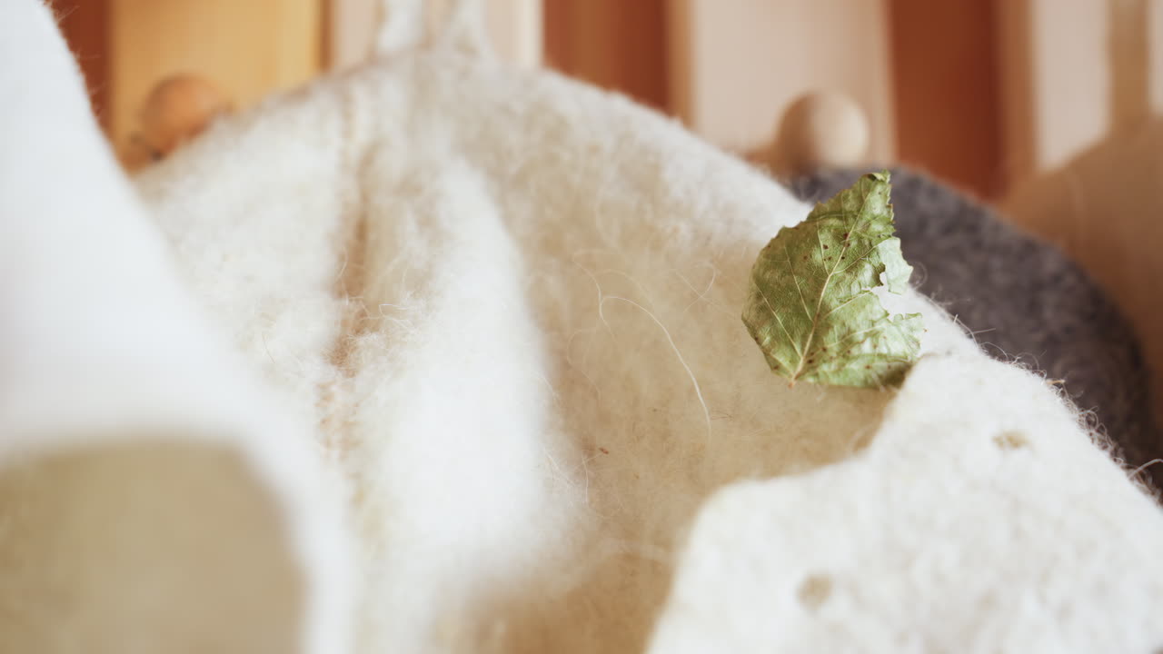close up of felt sauna hat with dry leaf perched on wool surface, hanging from wooden hook rail against pine panel backdrop, warm natural light accentuating soft texture and rustic ambiance