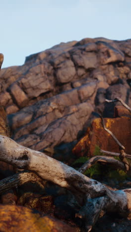 a close up of a piece of driftwood in front of a rocky cliff