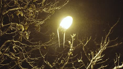 soft snowfall in a park in lantern post light in a dark winter evening