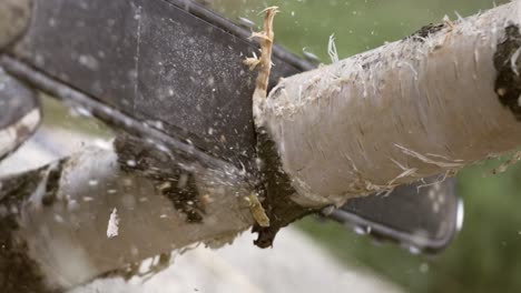 Woodcutter saws tree with electric chain saw on sawmill. Chainsaw used in activities such as free falling, pruning, cutting fire breaks, and harvesting of firewood. Shot on super slow motion 1000 fps