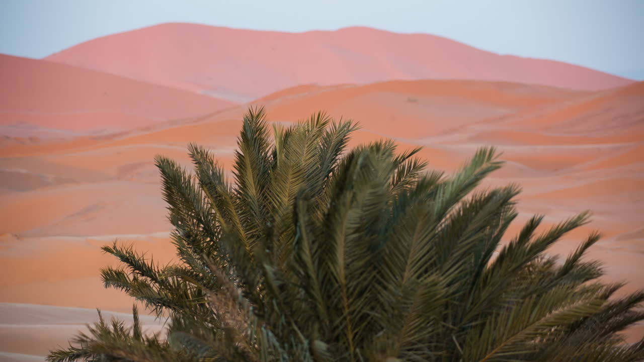 Merzouga Deserto do Saara 00