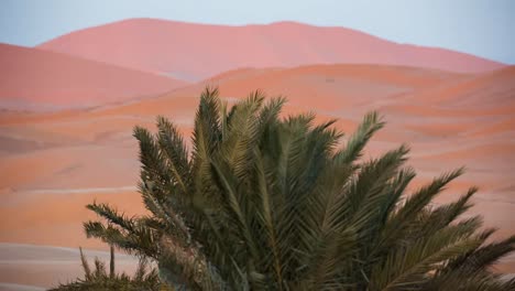 Desierto-del-Sahara-Merzouga-00