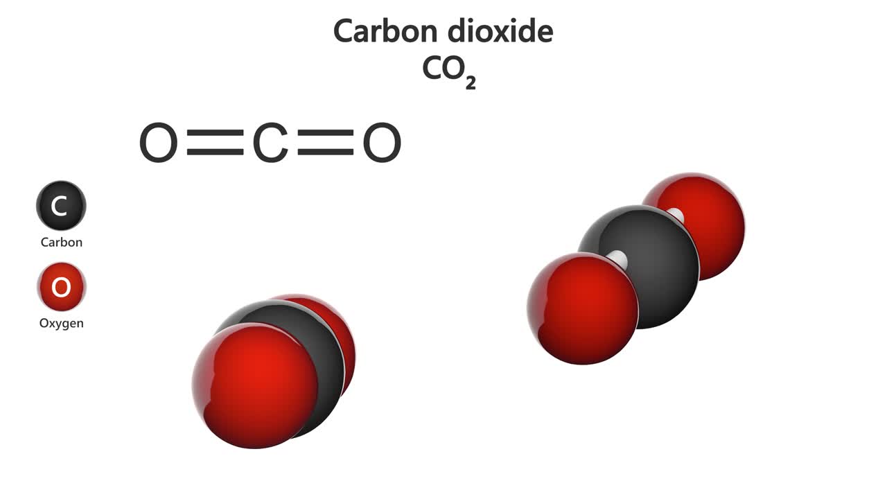 el dióxido de carbono (co2) en un bucle sin costuras.