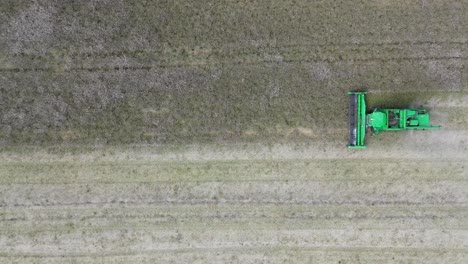 a view of efficient combined harvesting in action from above with a drone directly below the camera