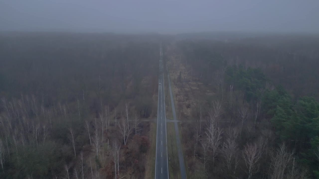 겨울에 안개와 함께 숲을 가로지르는 직선 도로. 마법의 공중 전망 비행 비행 리버스 드론