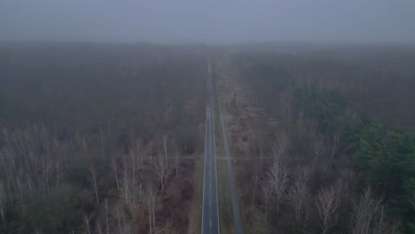 straight road crossing a forest in winter with fog. magic aerial view flight fly reverse drone