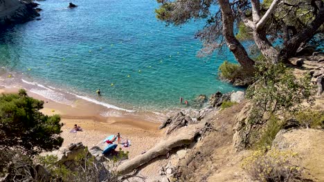 costa brava beautiful virgin beach with waters lush vegetation of pine trees and rocks yellow sand few people gerona catalonia mediterranean panoramic views tossa de mar cove llevad?