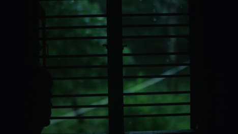 silhouette of a person looking out a window during a rainy night