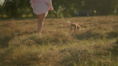 dog owner running across open field holding leash as dog runs ahead, surrounded by dry grass and greenery, with trees in blurred background during warm sunny day