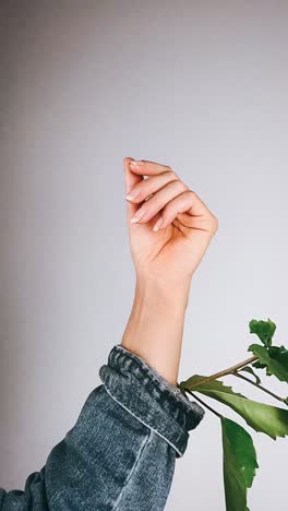 mano de mujer con planta y chaqueta de denim