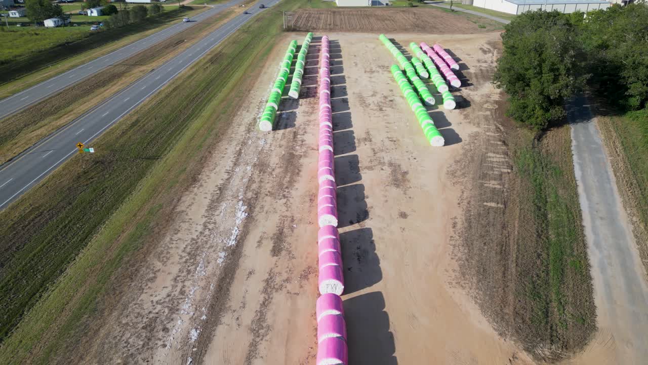 Ballette di cotone avvolte disposte in lunghe file lungo una strada rurale vicino a Headland, contea di Henry, Alabama, Stati Uniti, durante le operazioni logistiche di raccolta autunnale, vista aerea