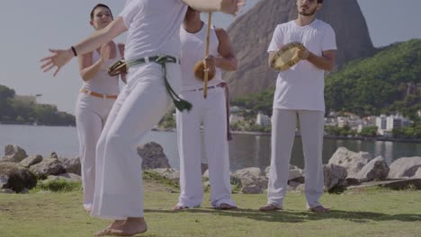 dynamic capoeira performance by a group in an outdoor setting