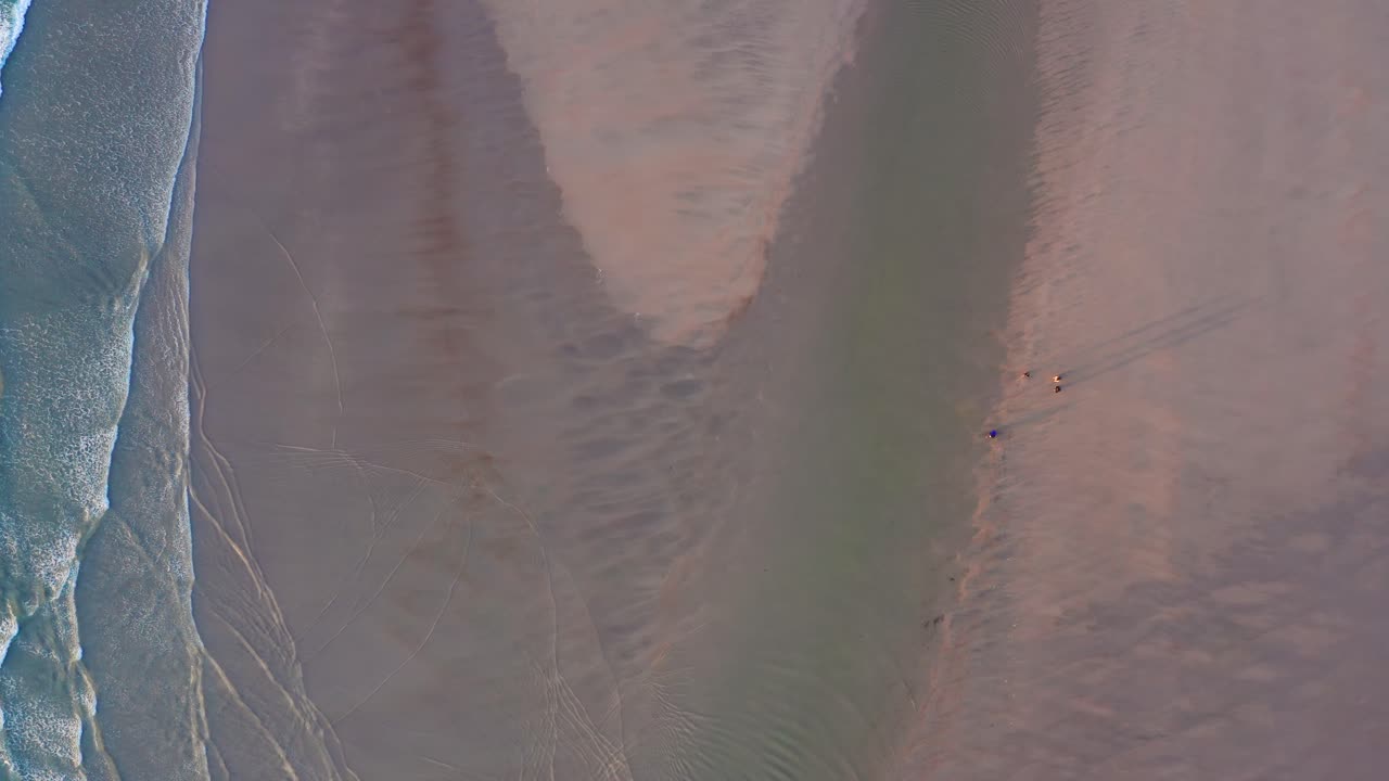 Vista aerea dall'alto di persone in piedi sulla sabbia bagnata mentre la marea ritorna.