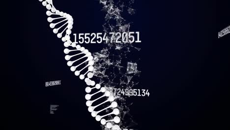 Animation-of-dna-strand-spinning-over-data-processing-and-network-of-connections