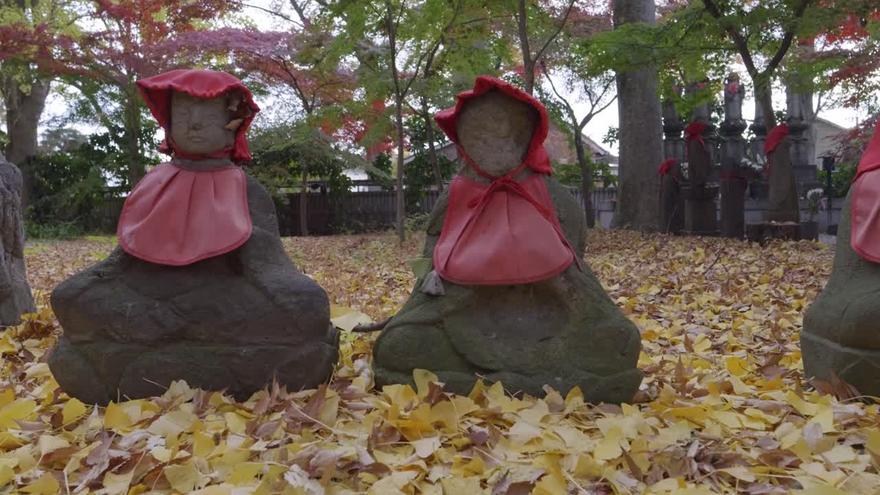 Low angle slider over Jizo Statues on ground with fallen Gingko leafs