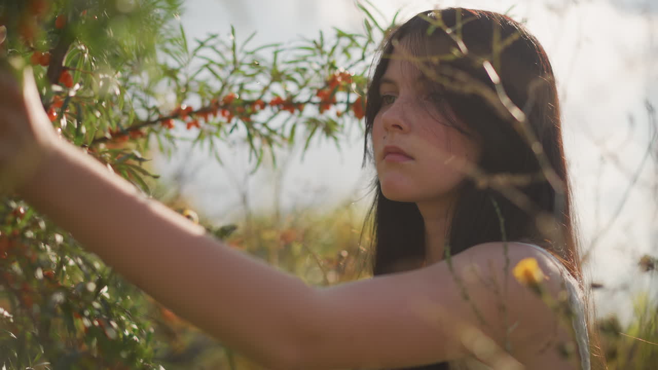 따뜻한 역광 아래에서 오렌지색 열매를 향해 손을 뻗고 있는 아시아 여성 클로즈업, 부드러운 옆모습과 빛을 받는 긴 머리카락, 섬세한 손동작, 생각에 잠긴 시선, 얼굴을 감싸는 자연스러운 잎, 부드러운 느낌