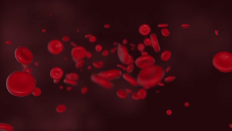 Digital-animation-of-red-blood-cells-in-veins-traveling-in-the-blood-inside-the-human-body,-medical-concept