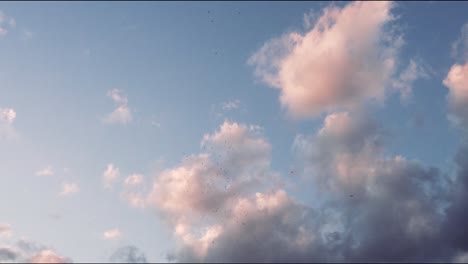 Birds-Flying-in-a-Bright-Blue-Sunset-Sky-Full-of-Puffy-Clouds