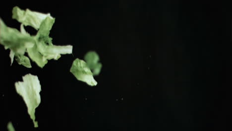 lettuce falling in super slow motion