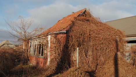 abandoned brick structure overgrown with ivy